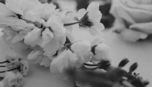 Ramo o grupo de flores capturado en blanco y negro, resaltando formas y texturas